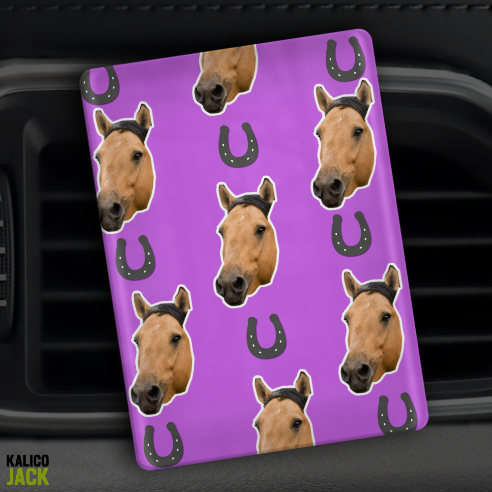 Horse Shoe Pic Clip