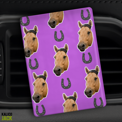 Horse Shoe Pic Clip