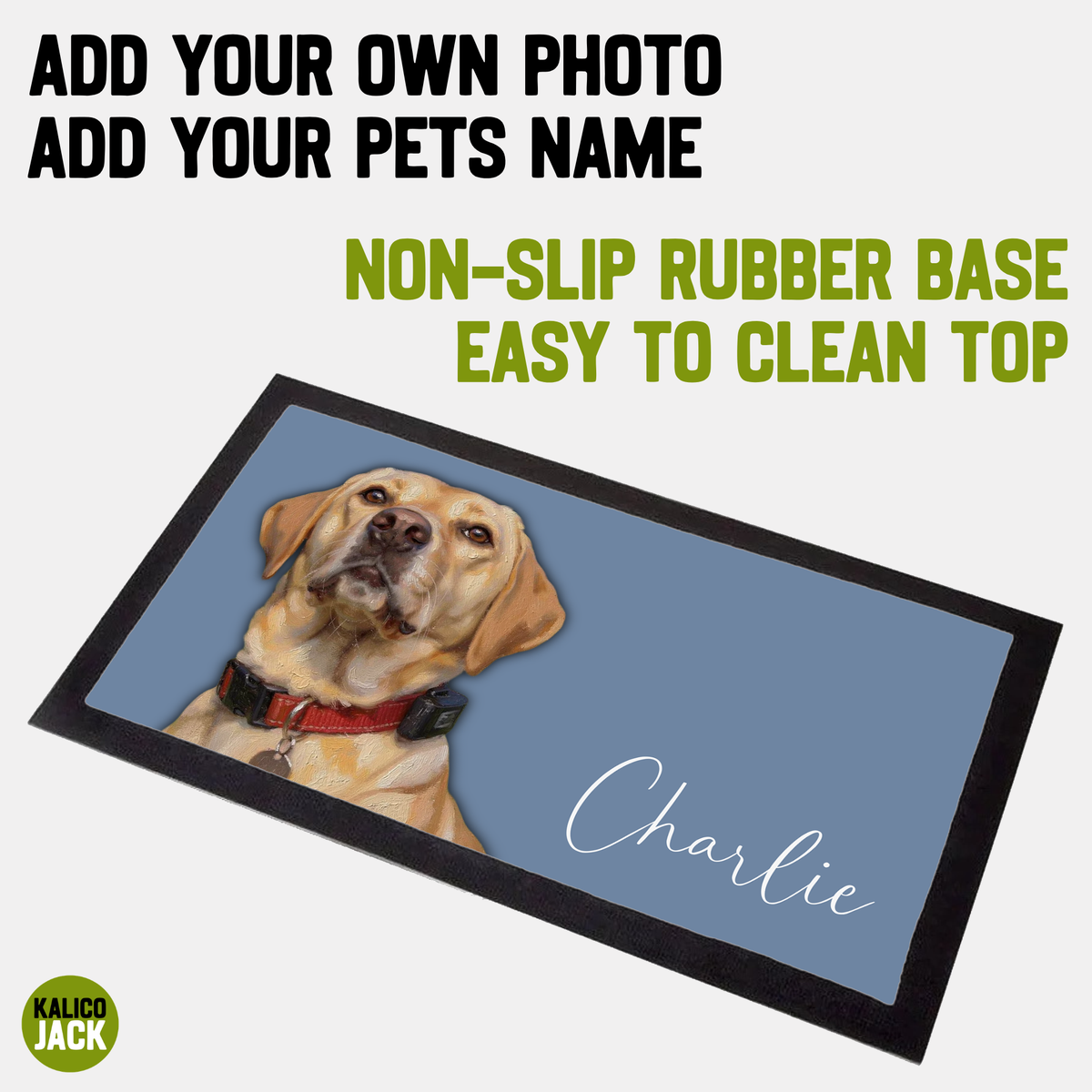 Photo Pet Feeding Mat