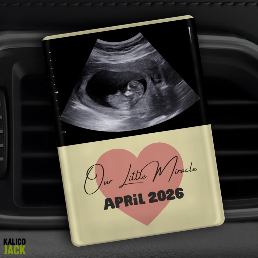 Ultrasound Pic Clip
